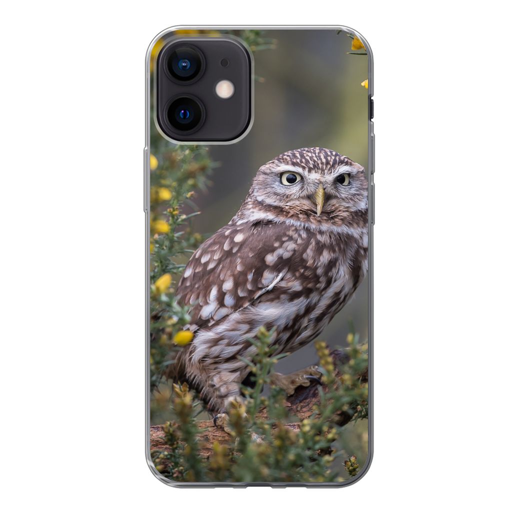 MuchoWow Handyhülle Schutzhülle Hülle für iPhone 12 Eine kleine braune Eule sitzt da und starrt nach vorne Silikon Softcase Handy Hülle - Sc...