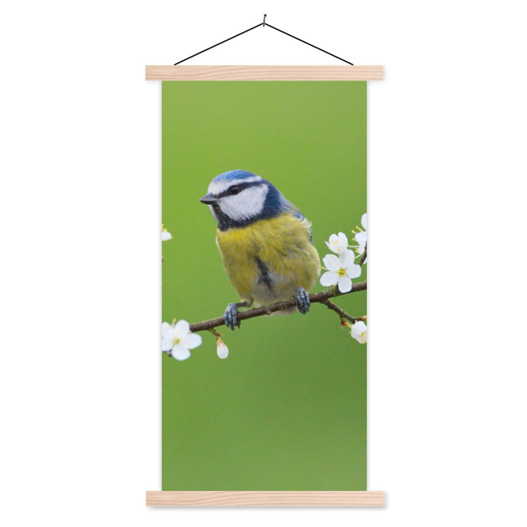 MuchoWow Textilposter Blaumeise - Zweig - Blumen - Blühende Zweige - Vogel 40x80 cm mit holzfarbenen Rahmen - Wohnzimmer
