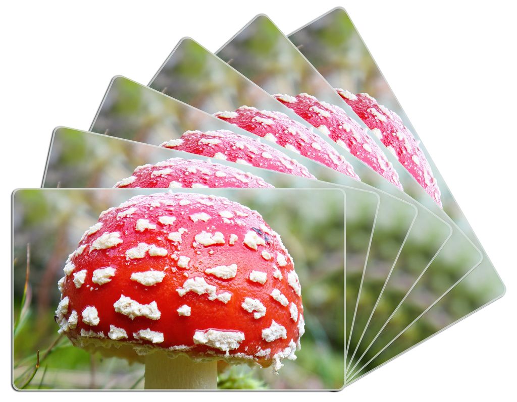 Wallario Frühstücksbrettchen 6er Set aus Glas, je 14 x 23 cm, mit rutschfesten Füßen, Motiv Fliegenpilz im Wald