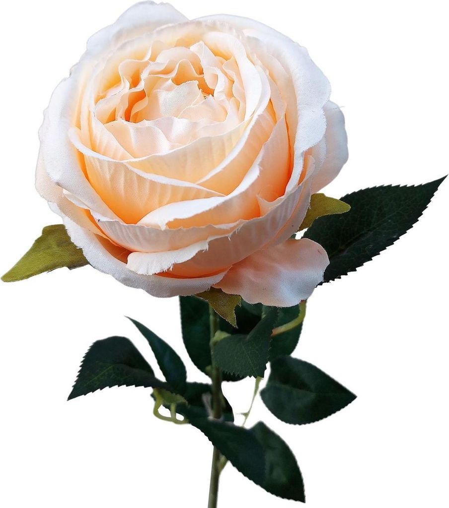 artplants.de Künstliche Rose CHERLEN, Aprikose, 60cm, Ø10cm - Kunstblume Rose