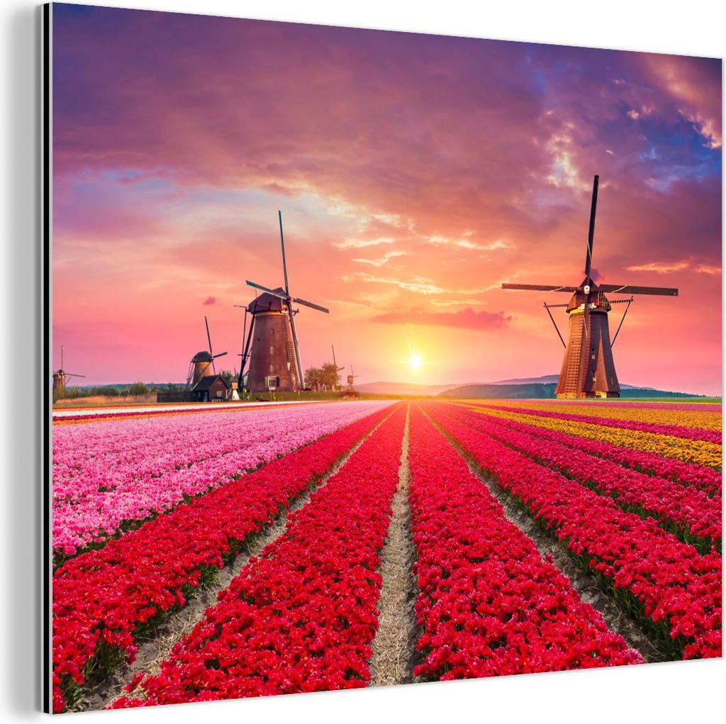 MuchoWow Wanddekoration Metall Metallbild Wandkunst 40x30 cm Blumen - Tulpen - Blumenfeld - Mühlen - Holland MuchoWow Aluminium Gemälde - Dekorat...