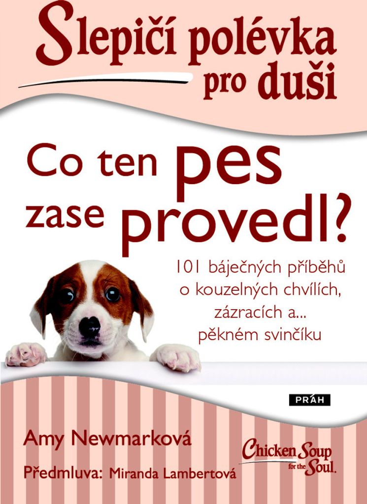 Slepičí polévka pro duši - Co ten pes zase provedl? (Newmarková Amy)