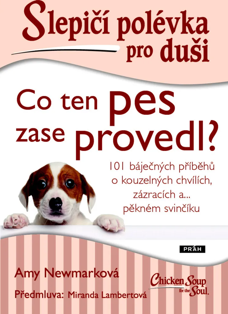 Livre cadeau pour propriétaires de chiens : Bouillon de Poulet pour l'Âme