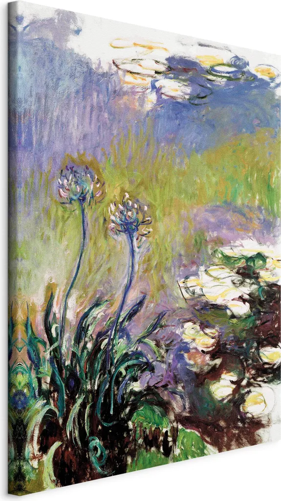 Quadro su tela italiano - Agapanthus 50x70 cm Riproduzioni l-G-10150-b-a