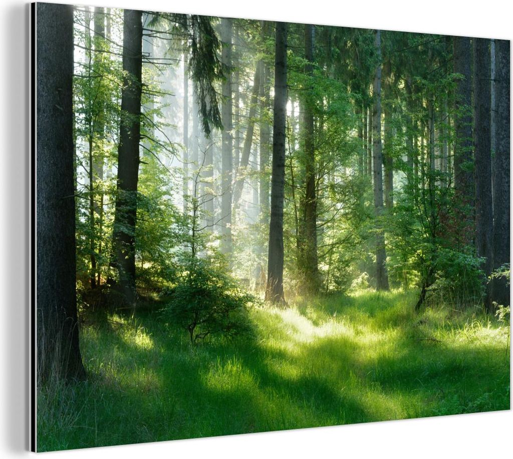 MuchoWow Wanddekoration Metall Metallbild Wandkunst 90x60 cm Natur - Bäume - Wald - Grün - Sonne - Gras - Pflanzen MuchoWow Aluminium Gemälde - ...