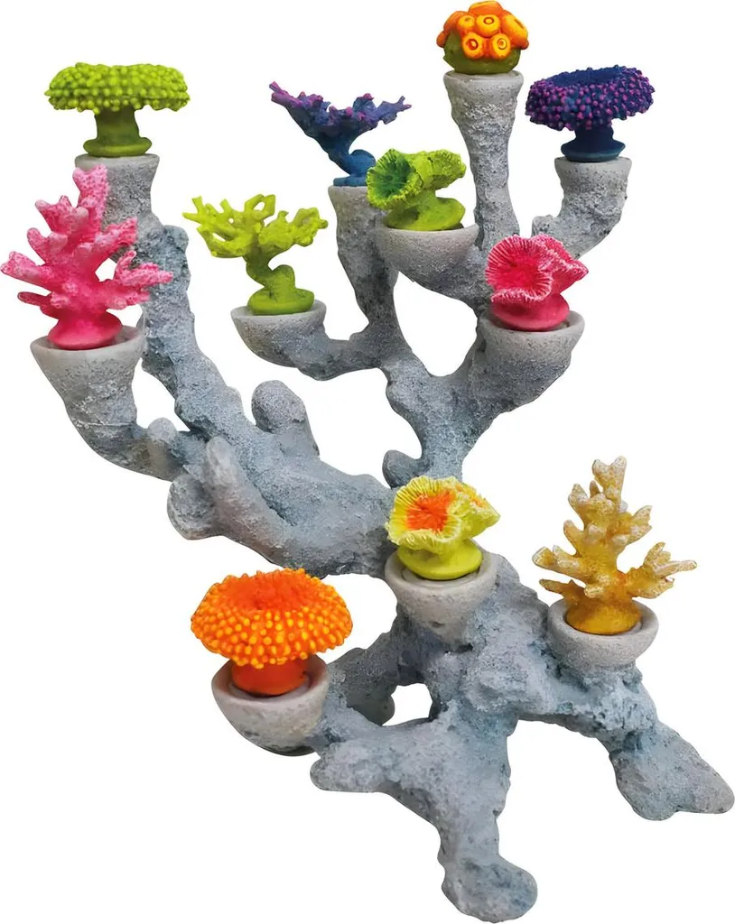 Décoration de Corail pour Aquarium Nobby Korallen Têtes Amovibles