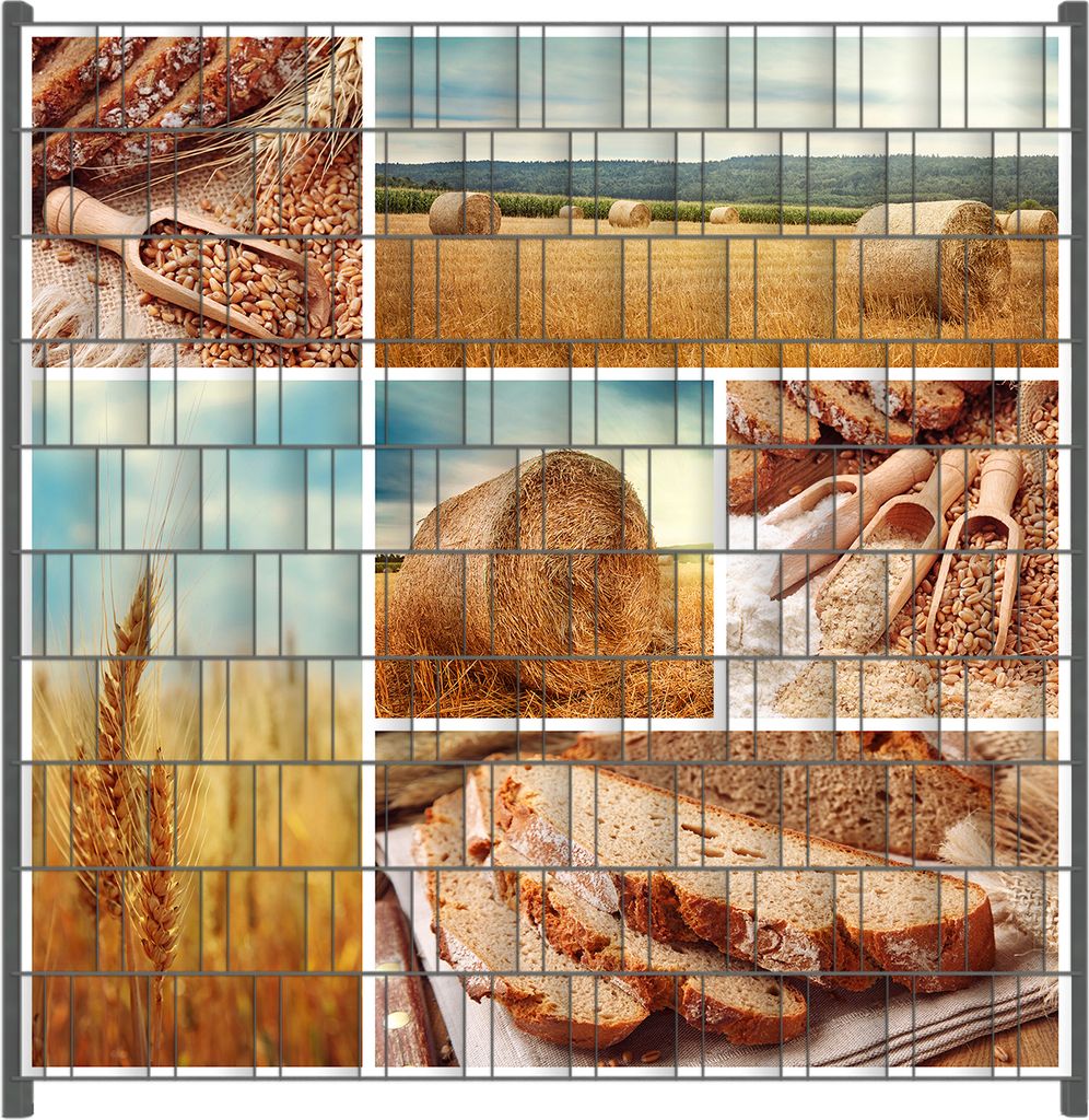 Wallario Zaunsichtschutz mit Motiv Weizen und Mehl Vom Korn zum Brot für Ein- und Doppelstabmatten Zäune in der Größe 200 x 200 cm