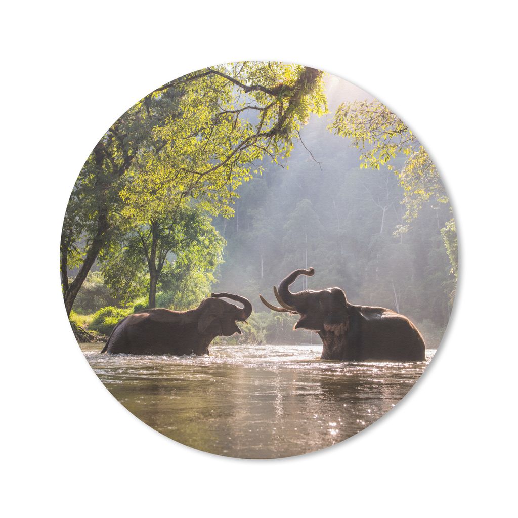 MuchoWow Mauspad Mousepad Elefant - Wasser - Tiere - Bäume - Sonne 40x40 cm - Mousepads - Maus Mat - Pad - Mausunterlage - Schreibtisch Accessoires