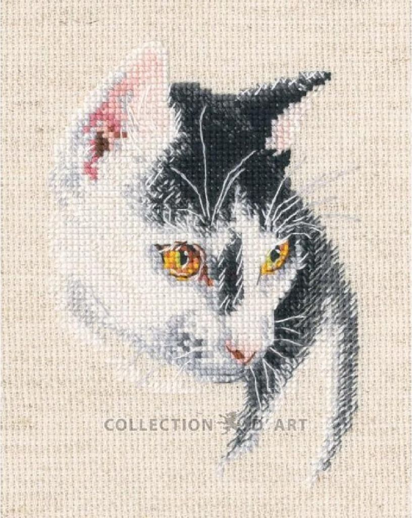 RTO Kreuzstich Stickpackung "Faszinierend", Zählmuster, 8,5x12cm