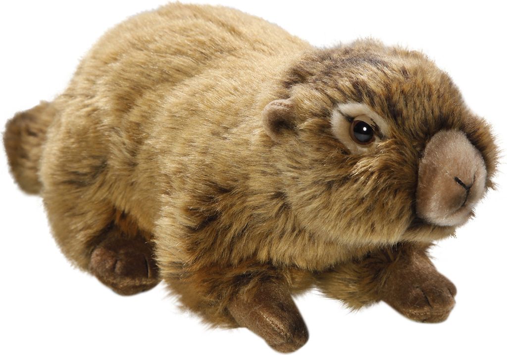 A plush toy marmot lying down against a white background.