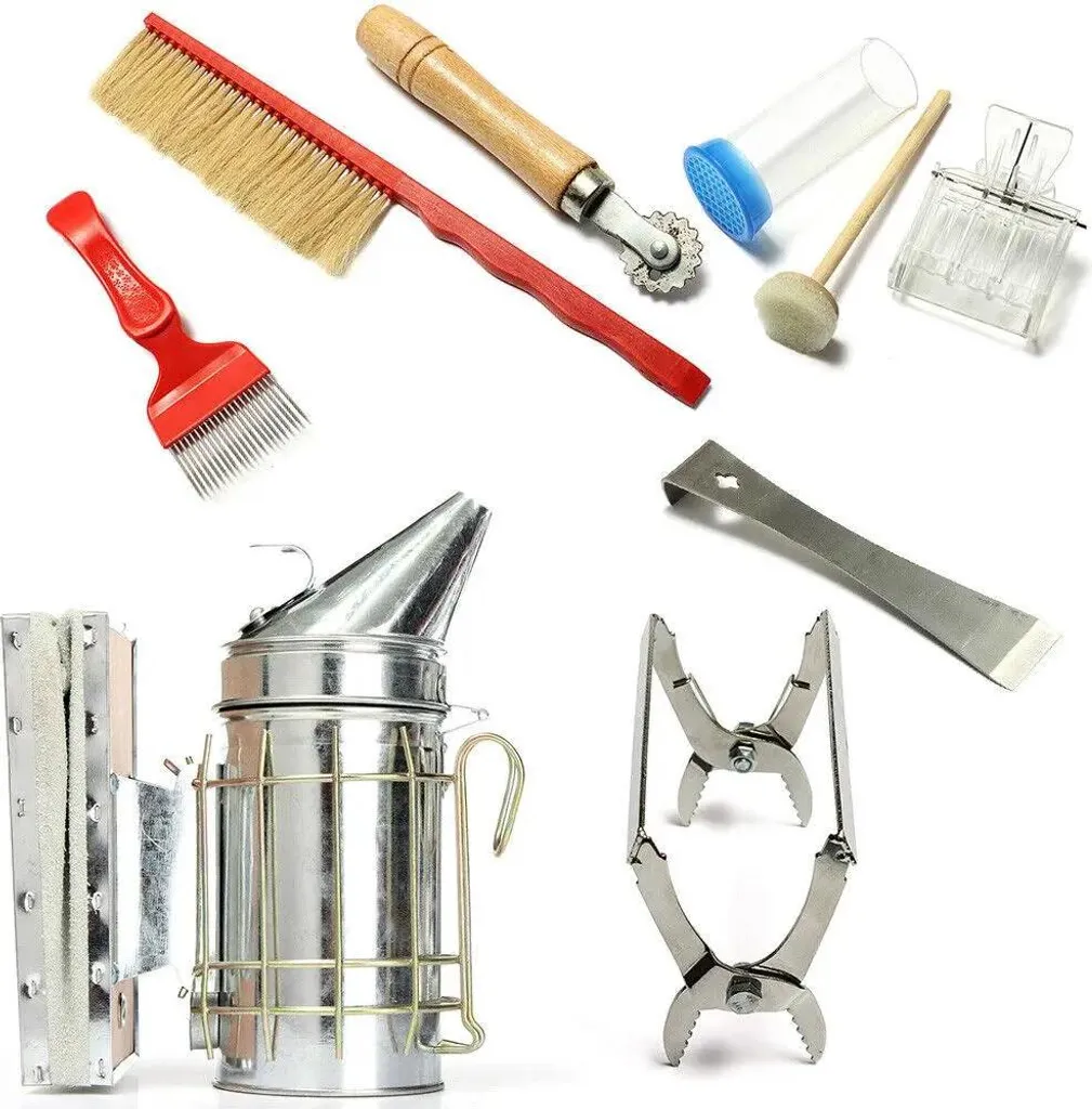 Set Regalo Apicoltura Argento M - Design Leggero e Raffinato
