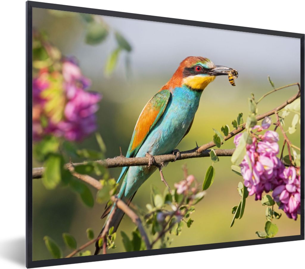 MuchoWow Gerahmtes Poster Vogel - Bienenfresser - Blumen 80x60 cm - Poster mit Schwarzem Bilderrahmen Wandposter Rahmen Foto Bilder - Schwarzem -...