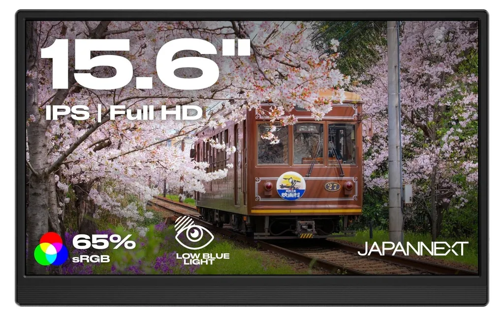 JAPANNEXT JN-MD-I156F-LE Écran Portable 15,6 Pouces FHD USB-C Mini-HDMI