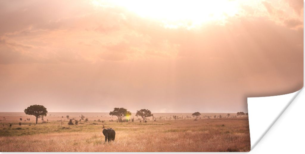 MuchoWow Poster Rosa Himmel über dem Serengeti-Nationalpark in Tansania 160x80 cm - Foto Poster