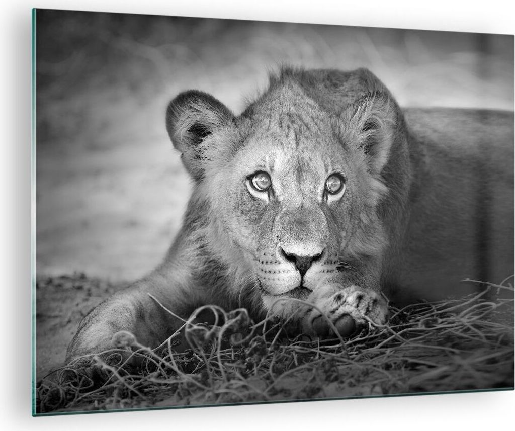 Bilder auf glas - Einteilig - Löwe asiatisch Porträt - 70x50cm - Glasbilder - Wandbilder - Bilder - zum Aufhängen bereit - Wanddekoration aus Gl...