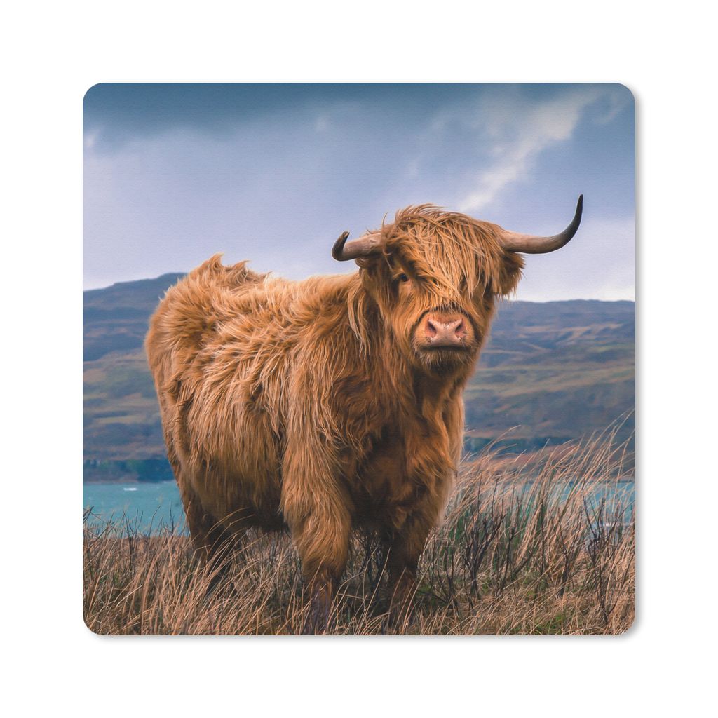 MuchoWow Mauspad Mousepad Schottischer Highlander - Berg - Wasser - Natur - Kuh 20x20 cm - Mousepads - Maus Mat - Pad - Mausunterlage - Desk Mat ...