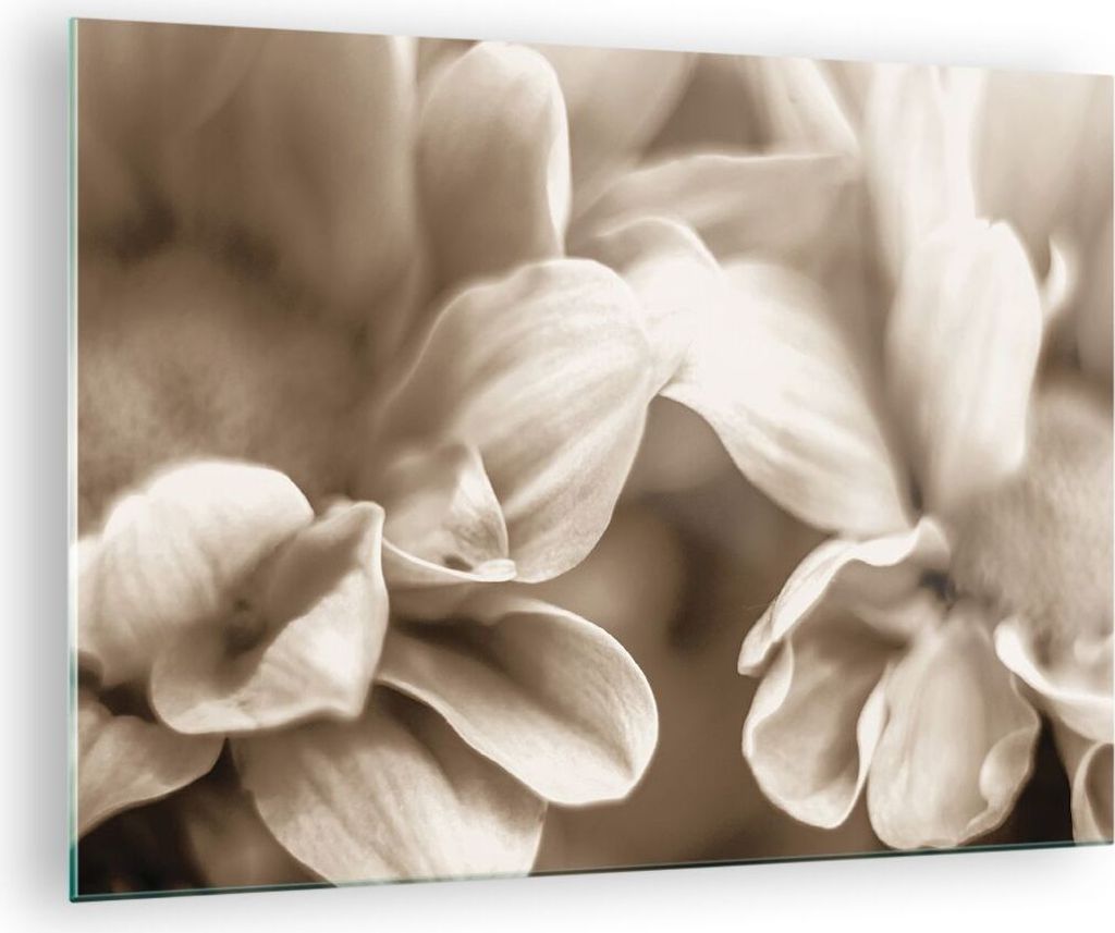 Bilder auf glas - Einteilig - Blumen Boho ohne - 70x50cm - Glasbilder - Wandbilder - Bilder - zum Aufhängen bereit - Wanddekoration aus Glas - Gla...