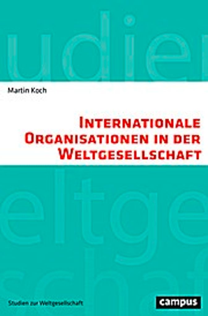 Internationale Organisationen in der Weltgesellschaft