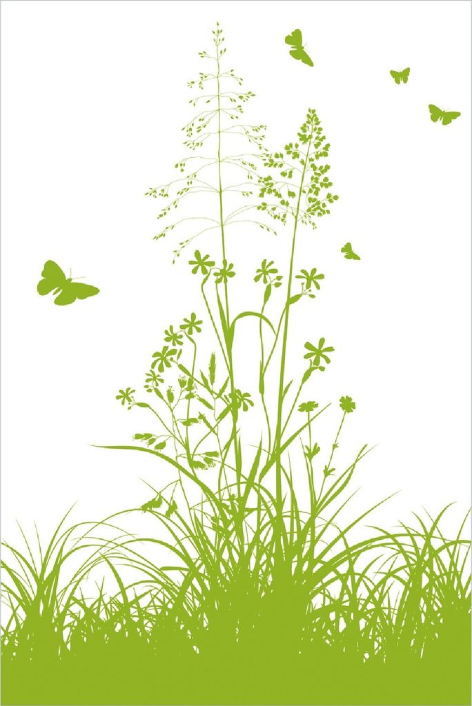 Wallario Poster - Grüne Sommerwiese, Kunstdruck Größe: 100 x 150 cm