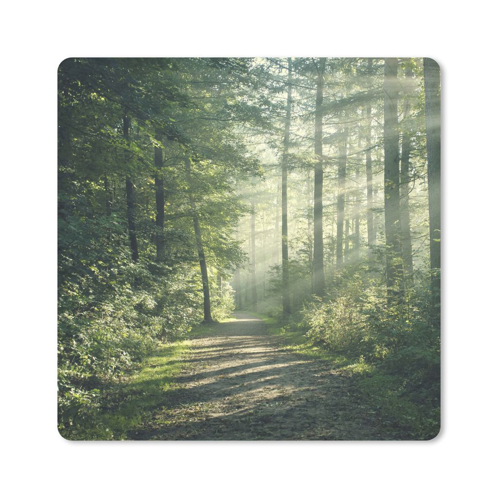 MuchoWow Mauspad Mousepad Wald - Weg - Sonne - Bäume - Grün - Natur 20x20 cm - Mousepads - Maus Mat - Pad - Mausunterlage - Desk Mat - Bureauar...