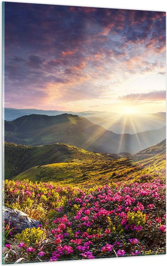Bilder auf glas - Einteilig - Gebirge Wiese Landschaft Wald - 50x70cm - Glasbilder - Wandbilder - Bilder - Wanddekoration aus Glas - Glas Bilder - ...