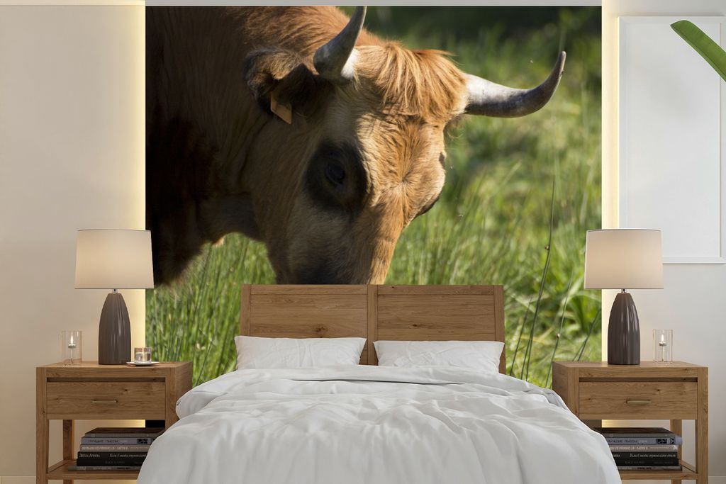 MuchoWow Fototapete für Wohnzimmer oder Schlafzimmer Wandtapete Vinyl Motivtapete Kuh - Gras - Horn - Kalb - 300x300 cm - Wanddekoration