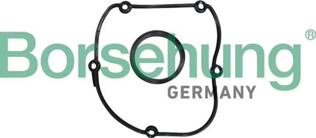 Upgrade Guarnizione Borsehung B10627 per Audi e VW - Tenuta Top!