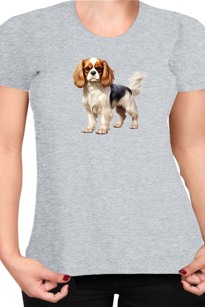 Damen T-Shirt Dogs Breeds Cavalier King Charles Spaniel Dog Breed 005, Lady 2XL / Grau