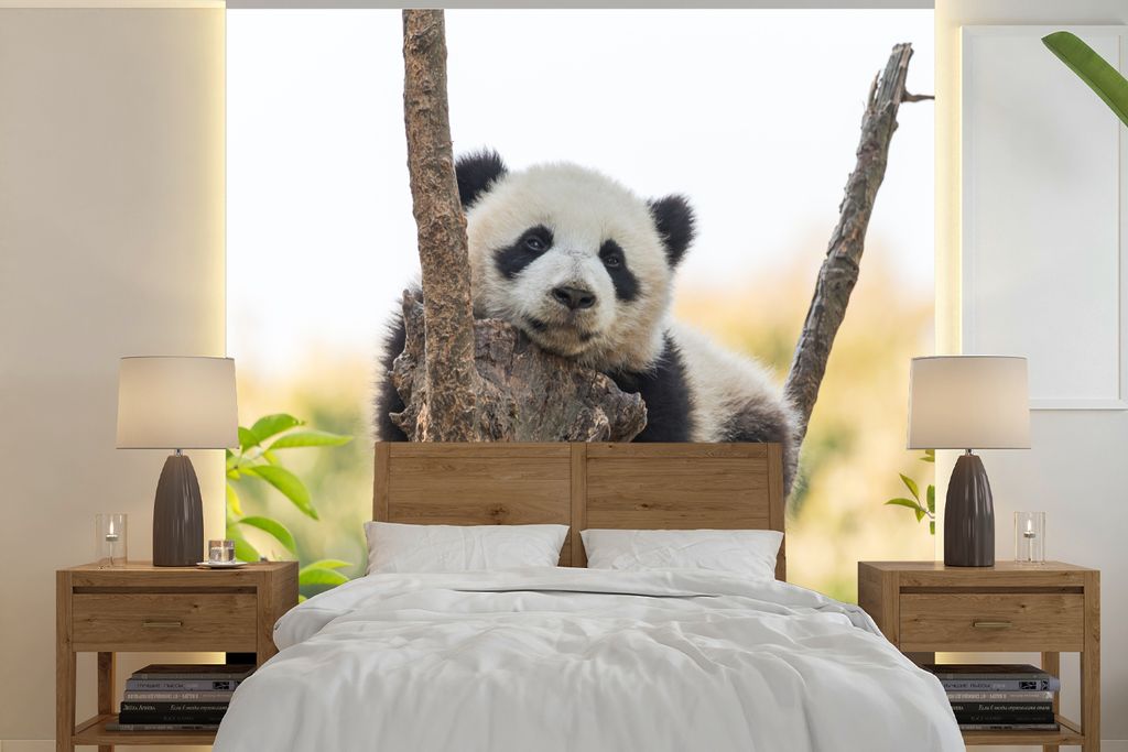 MuchoWow Fototapete für Wohnzimmer oder Schlafzimmer Wandtapete Vinyl Motivtapete Panda - Baum - Licht - 350x350 cm - Schlafzimmertapete