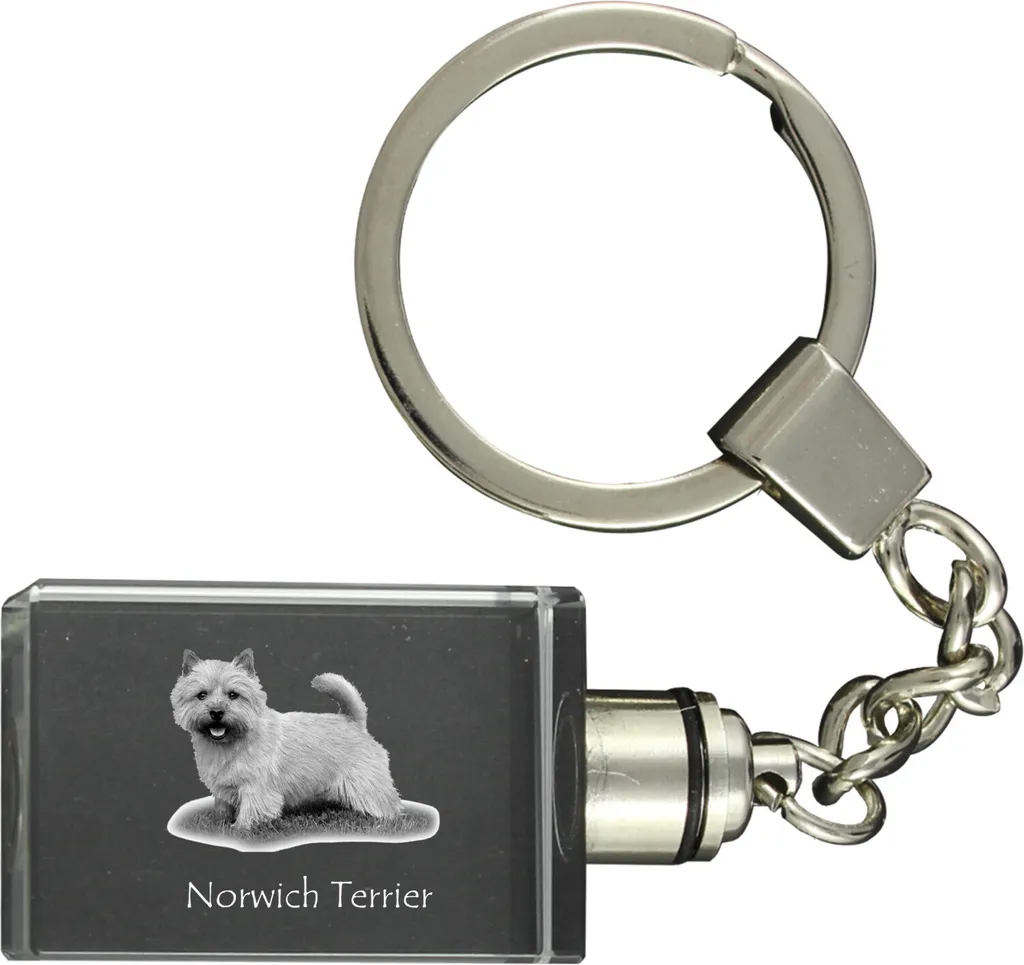 Regalo Norwich Terrier: Portachiavi Cristallo LED | Accessorio Glamour