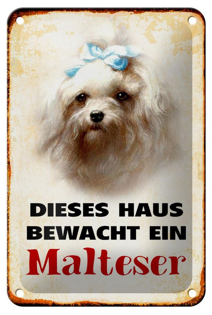 Blechschild Hund 12x18cm dieses Haus bewacht ein Malteser