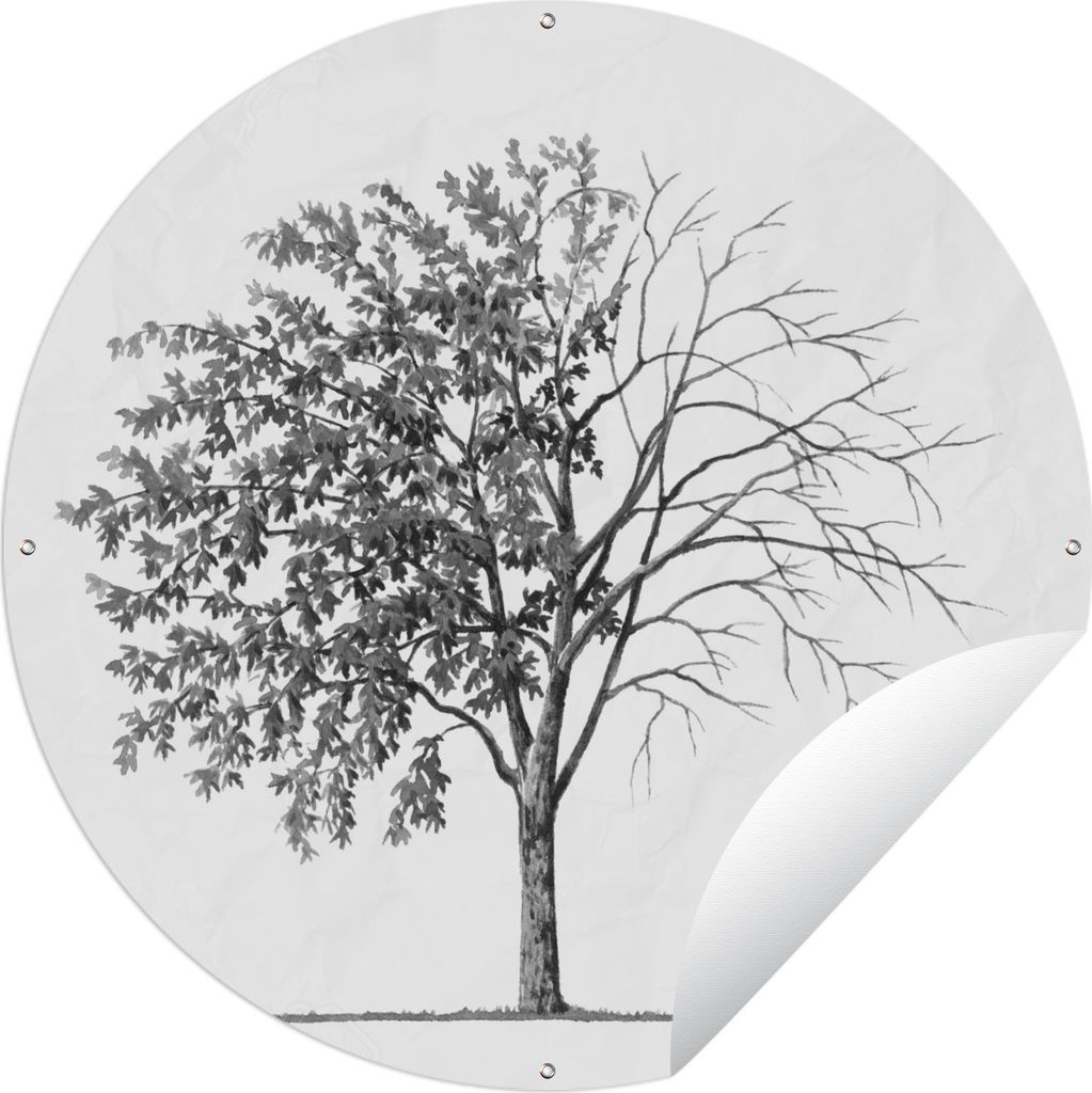 MuchoWow Gartenposter Outdoor-Poster Rund Illustration eines Goldregenbaums, der seine Blätter verliert - schwarz und weiß Ø 90 cm Gartendeko ...