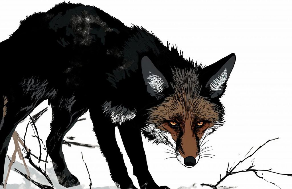 Plakat 91,5x60cm Misstrauischer Fuchs