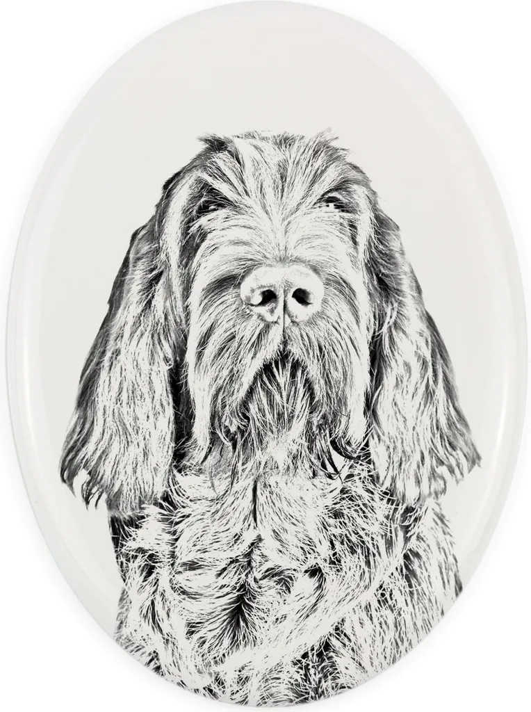 Art-Dog Targa in Ceramica per Spinone Italiano | Lapide con Stampa