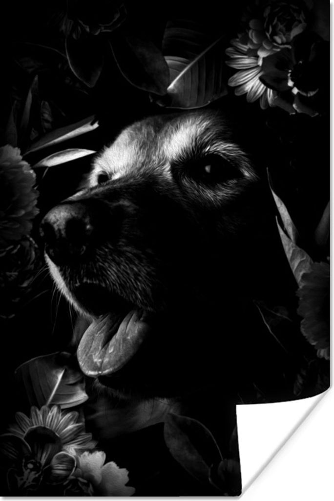 MuchoWow Poster Botanischer Hund auf dunklem Hintergrund - schwarz und weiß 80x120 cm - Papierdruck