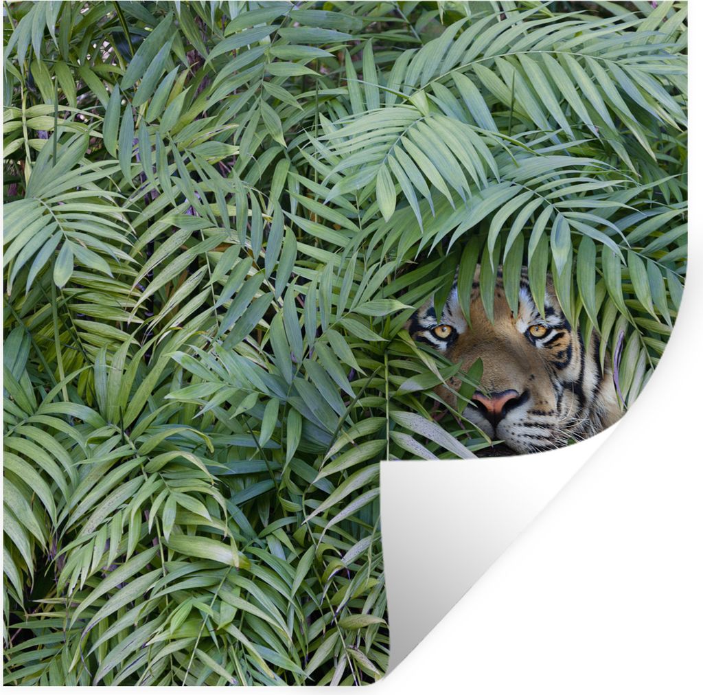 MuchoWow Wandtattoo Wandsticker Wandaufkleber Tiger - Blätter - Farn 50x50 cm Selbstklebend und Repositionierbar - Selbstklebend - Fototapeten