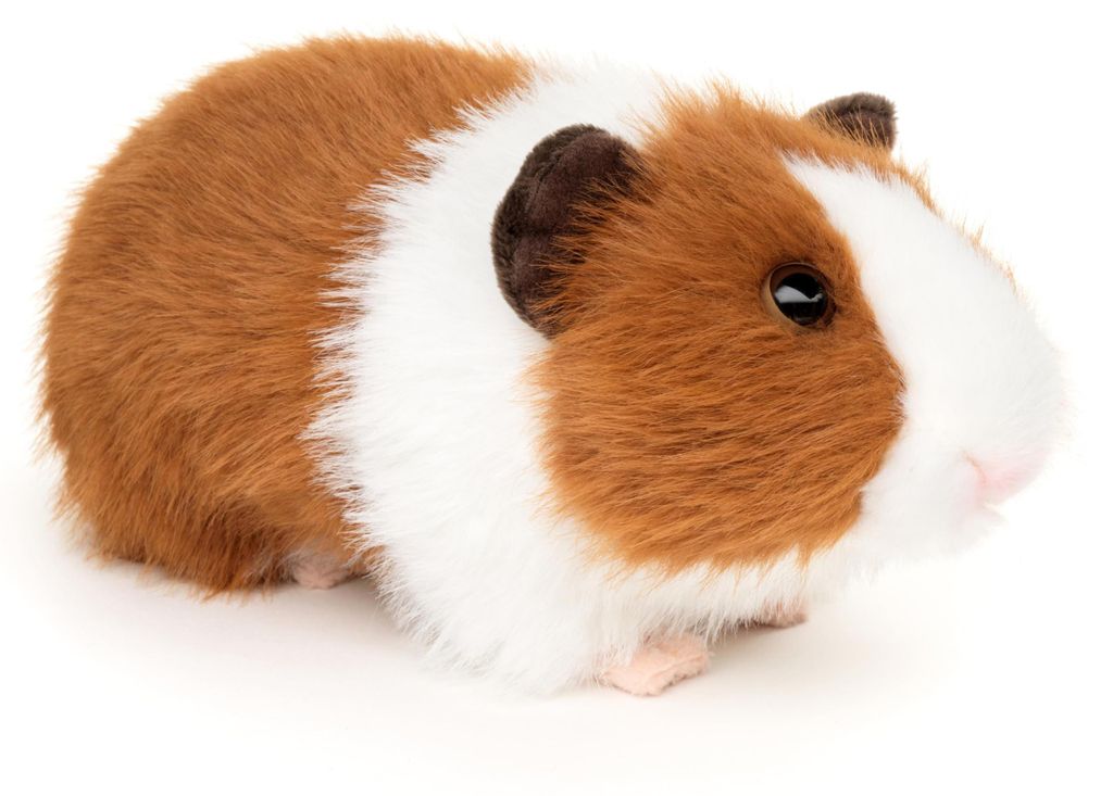 Uni-Toys - Jouet en peluche "Cochon d'Inde" (brun et blanc) Image du produit 