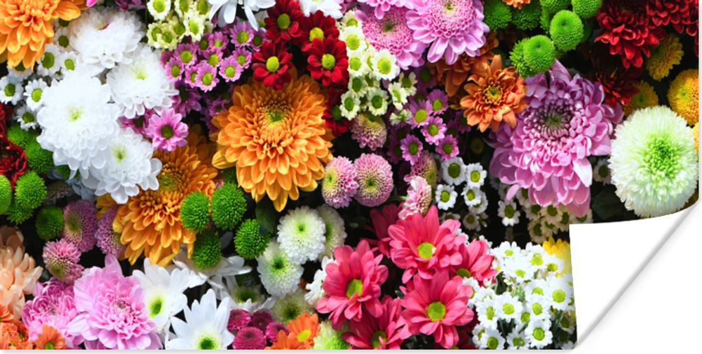 MuchoWow Poster Blumen - Chrysantheme - Farben - Collage 80x40 cm - Wanddeko