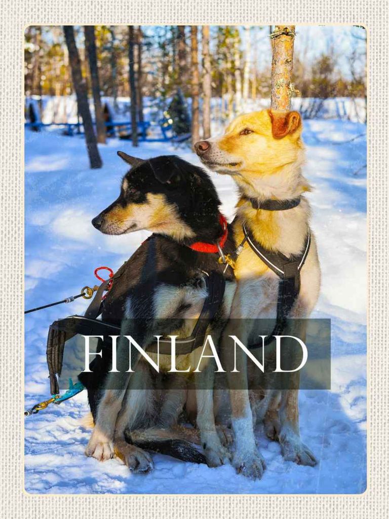 vianmo Holzschild 40x30 cm Finnland Schnee Winterzeit Wald Hunde Bildmotiv Reisemotiv Europa