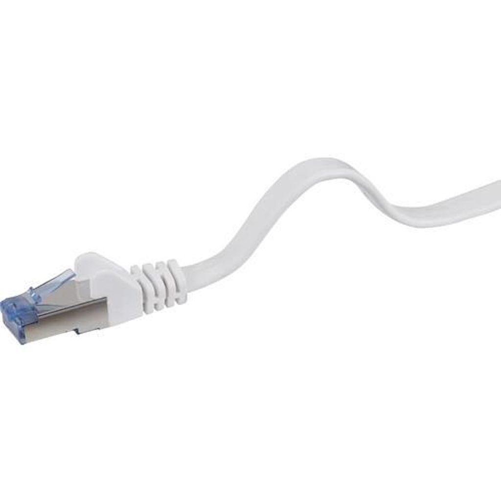 Renkforce RJ45 Netzwerk Anschlusskabel CAT 6a U/FTP 0.25 m Grau hochflexibel, mit Rastnasenschutz, Flammwidrig Renkforce (1383278)