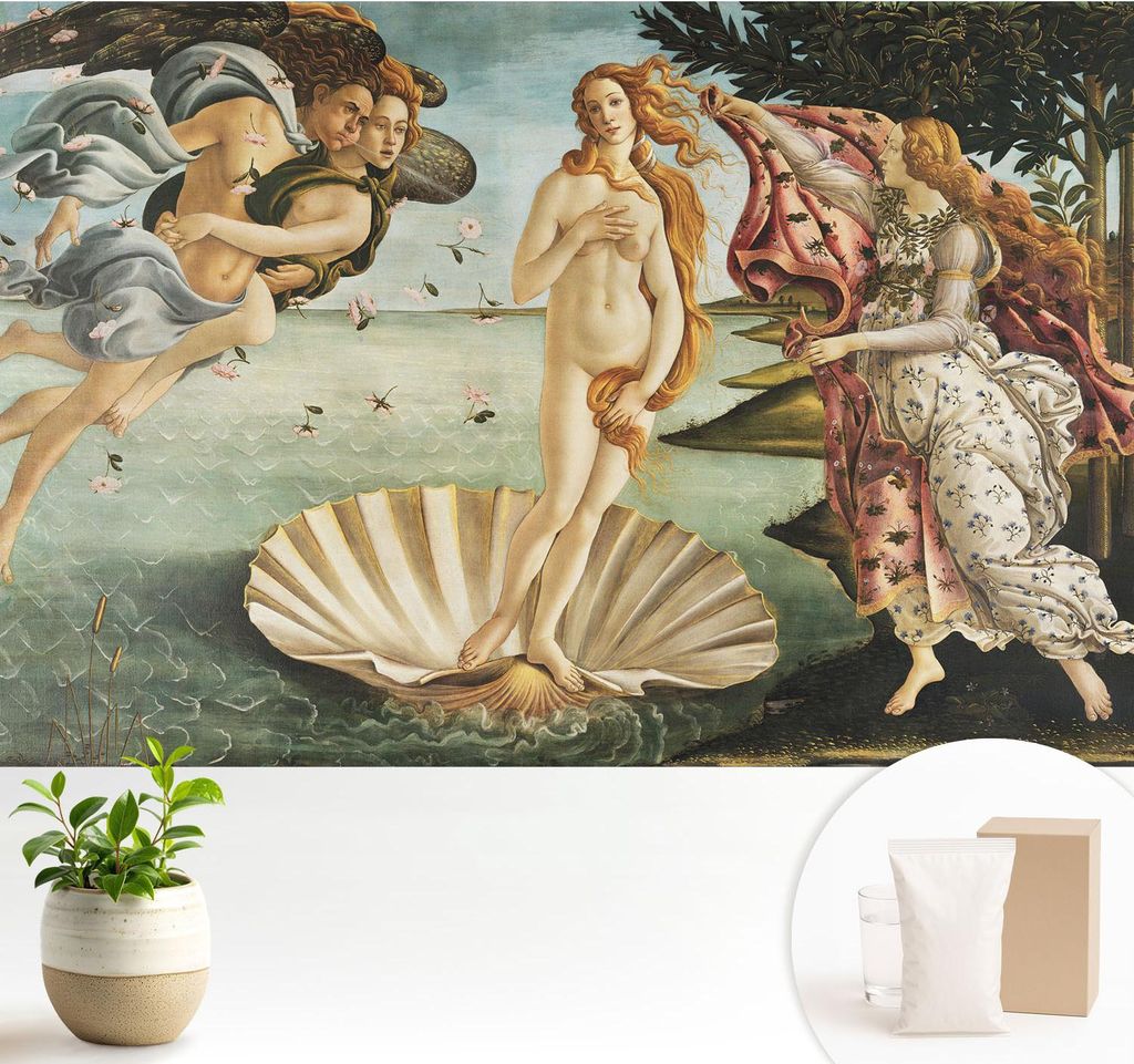 Fototapete - 104x70 cm - Tapete - Wandtapete - Wandbilder - Dekofolie - Tapete Folie - Wand - Dekoration - Wohnzimmer - Die Geburt der Venus