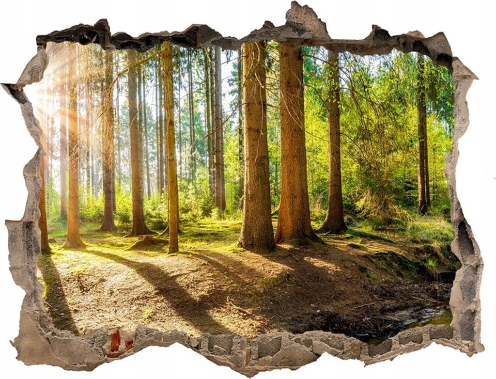 Wald Panorama Wand 3d Loch 95x64