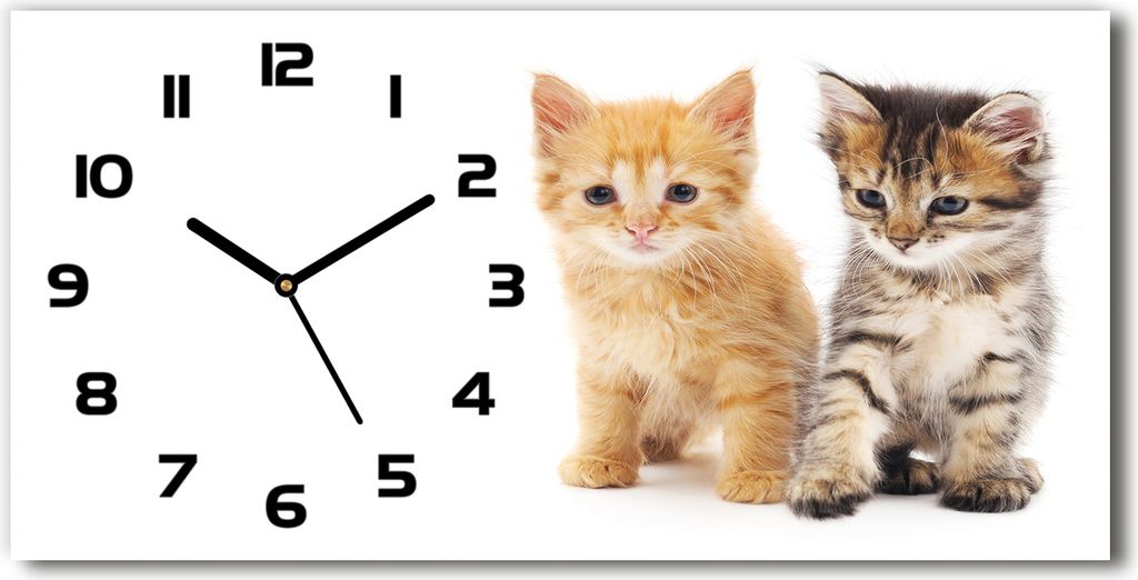 Wanduhr aus Glas – 60x30 cm - Glasbild - Glasuhr - Gehärtetes Glas - schwarze-zeiger - Brown und rote Katze