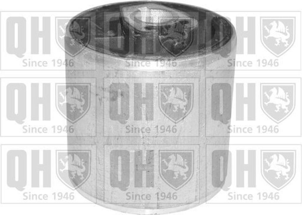 Lagerung Lenker für Querlenker für BMW 3 Limousine (E46) EMS8136 QUINTON HAZELL