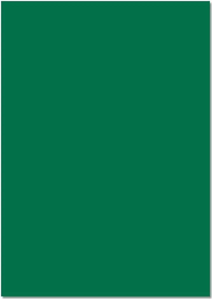 Papier cartonné 220g vert sapin anti-gondolement Folia 50x70cm 25 flles
