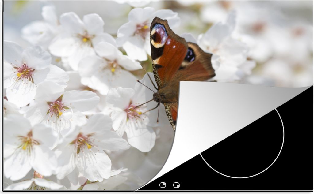 KitchenYeah Herdabdeckplatte Tagpfauenauge Schmetterling auf Kirschblüte , 76x51cm, Küche Deko, Glaskeramikkochfeld Herdabdeckung, Abdeckplatte...