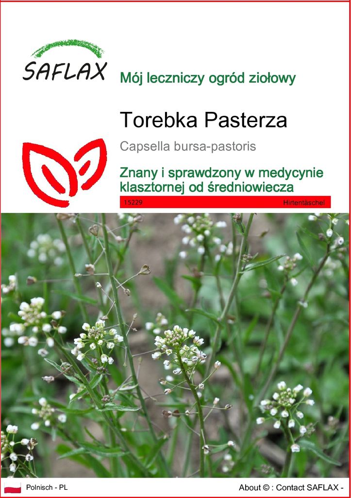 SAFLAX - Torebka Pasterza - 1000 Nasiona - Capsella Zdjęcie produktu 