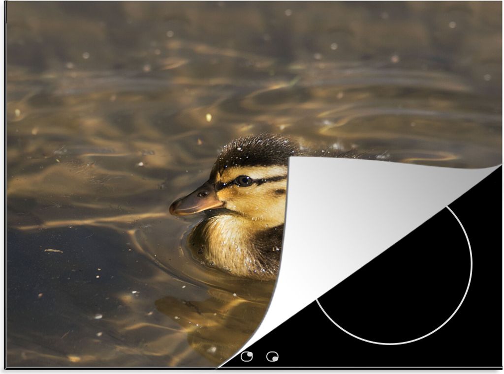 KitchenYeah Herdabdeckplatte Küken - Unten - Braun , 59x52cm, Küche Deko, Glaskeramikfeld Herdabdeckung, Abdeckplatte fùr Kochfeld