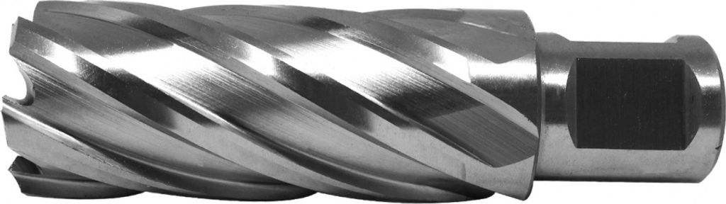 PAULIMOT HSS-Kernbohrer mit Bohrtiefe 55 mm, Ø 25 mm Produktbild 