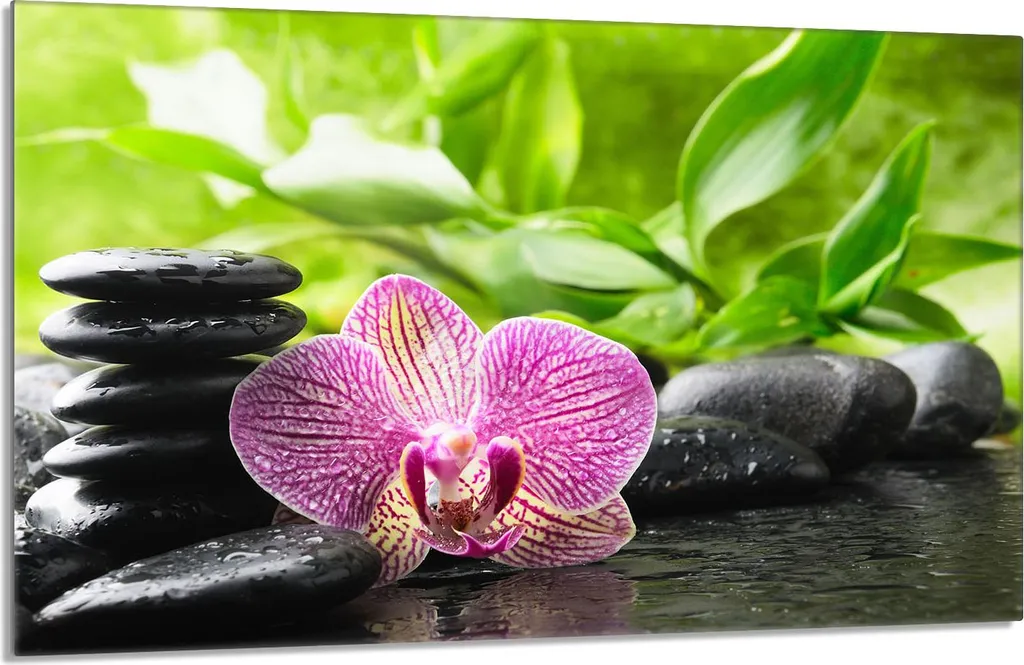 Copri Fornelli 80x52 Orchidea Viola - Protezione Piano Induzione XL